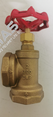 460481009 Tyco Fire