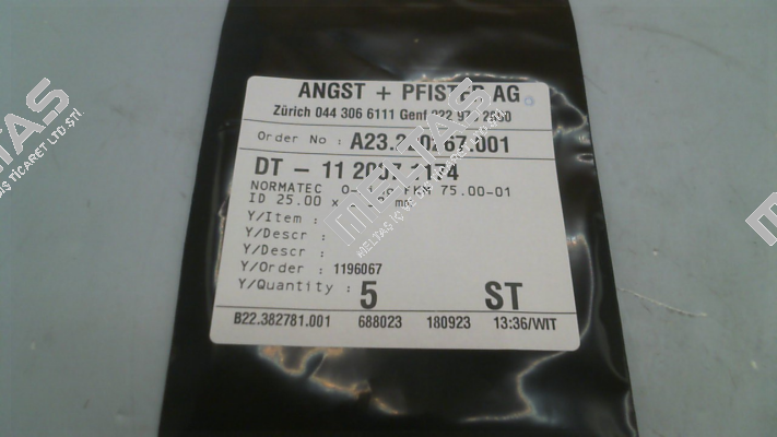 1120071174 Angst-Pfister